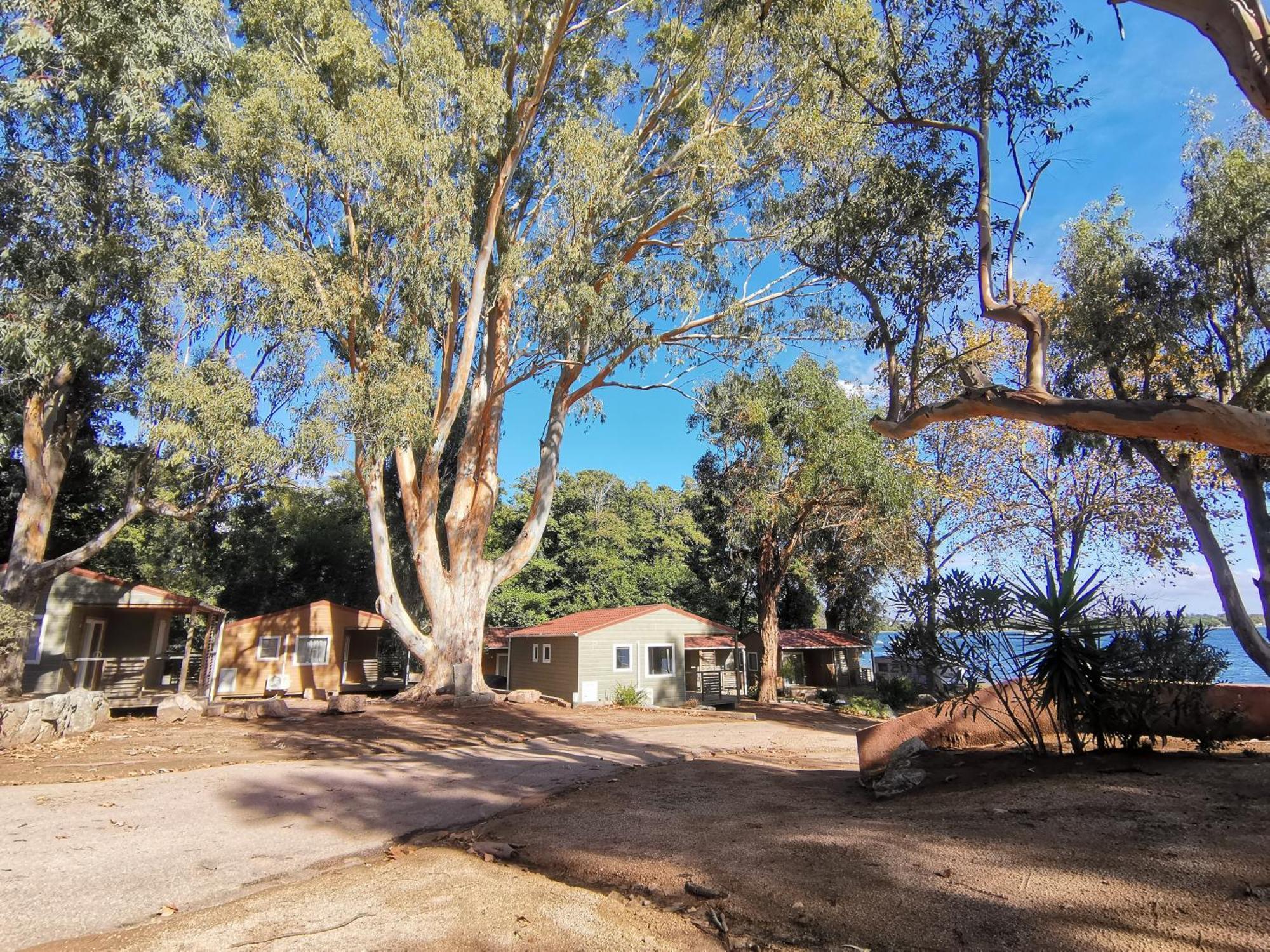 Camping La Baie Des Voiles Villa Porto Vecchio Habitación foto